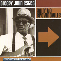 Divin' Duck - Sleepy John Estes