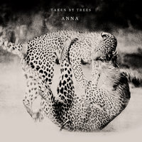 Anna - Taken By Trees