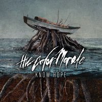 Saviorself - The Color Morale