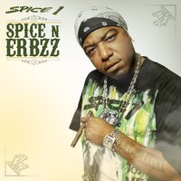 I'm High - Spice 1