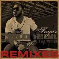 Sugar - Flo Rida, Wynter Gordon, Mondotek