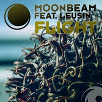 Flight - Moonbeam, Leusin