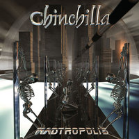 Entire World - Chinchilla