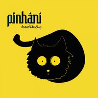 Benim Yüzümden - Pinhani