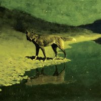 Moonlight Wolf - Henry Saiz