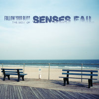 Can't Be Saved - Senses Fail