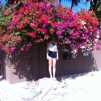A Grey Cloth Covering My Face - Elf Power