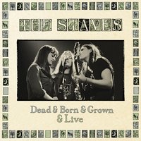 Mexico - The Staves