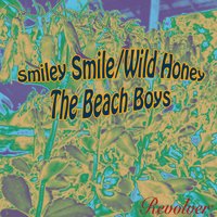 Darlin' - The Beach Boys