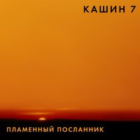 Дом - Павел Кашин