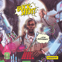 Birdz Fly the Coup - 9th Wonder, Buckshot