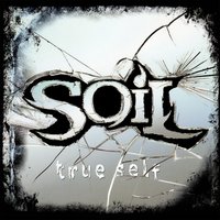 One Last Song - SOiL
