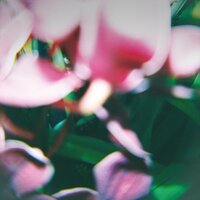 Lowest Form - Trade Wind