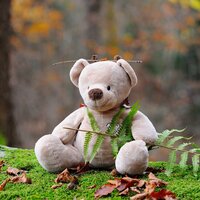 Kinderlieder