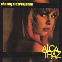 Hey Emily - The Mr. T Experience