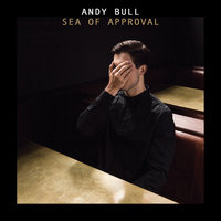 Nothing Is Wrong - Andy Bull