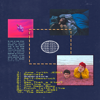 Self-Destruct - Petrie