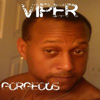 Always Wit My Goons - Viper