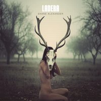 All Torn Up - Shane Alexander