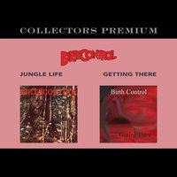 Hard Times - Birth Control