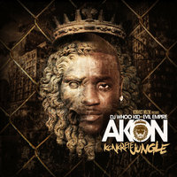 We On It feat. Yo Gotti - Akon