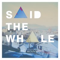 Big Wave Goodbye - Said The Whale