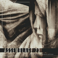 This House Is Empty - Assemblage 23