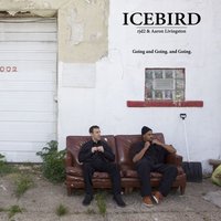 Going and Going. and Going. (Feat. rjd2 & Aaron Livingston) - RJD2, Aaron Livingston
