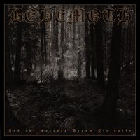 Pure Evil and Hate - Behemoth