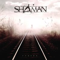 Iron Soul - Shaman