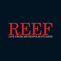 Foot One - Reef