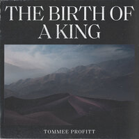Silent Night - Tommee Profitt, Fleurie