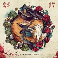 Винтер - 25/17