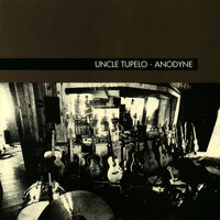Steal the Crumbs - Uncle Tupelo