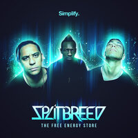 Almost Home - Splitbreed