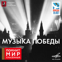 Потому, что мы пилоты - Леонид Кострица, Василий Соловьёв-Седой