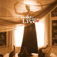 Run Away - Live, Shelby Lynne