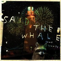 The Light Is You - Said The Whale