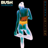 Falling Away - Bush