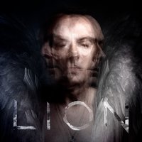 The Rose - Peter Murphy