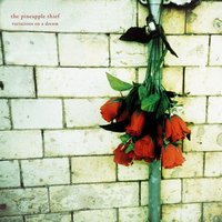 The Bitter Pill - The Pineapple Thief