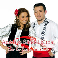 Cântecele mele - Andra