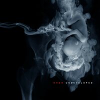 Nitwitz - ohGr