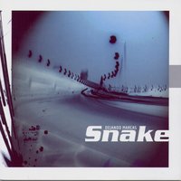 Sin Mirar Atrás - Snake