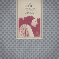 Tout ce qui brille - Charlie