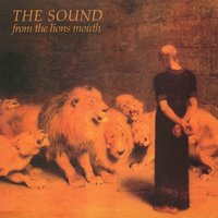 Contact the Fact - The Sound