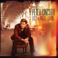 Another Falling Star - Peter Cincotti