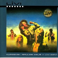 Sabrukusī pils - Livi