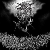 Hate Is the Law - Darkthrone