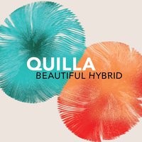 Exploding Galaxies - Quilla